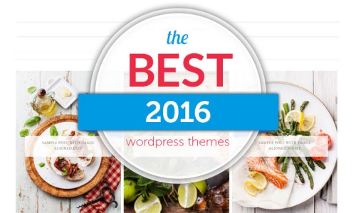 Best Wordpress Theme (2016) 